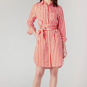Katie Kime Shirtdress